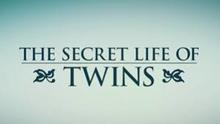Poster of film secret life of twins